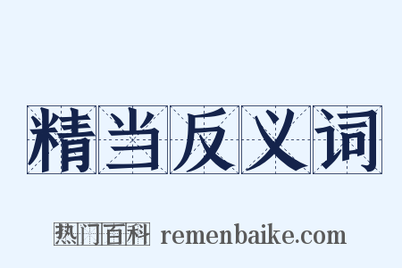 精当反义词是什么意思的图片